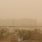 shoroon-bolon-tsasan-shuurga