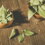 lavriin-nawch-ashig-tus-02