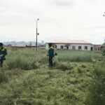 shariljgui-ulaanbaatar