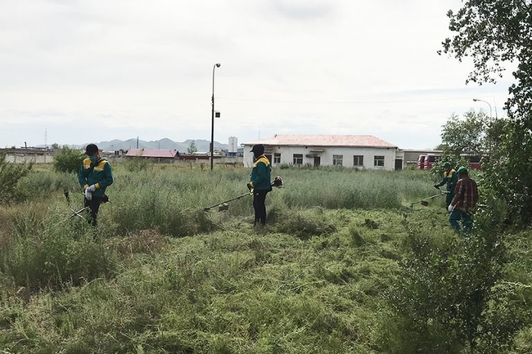 shariljgui-ulaanbaatar