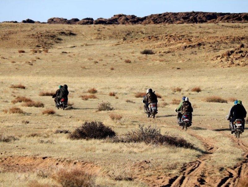 baigali-hamgaalagchid