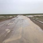 hamriin-hiid-zam-2020