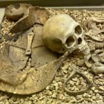 mongol-tsereg-sharil-01