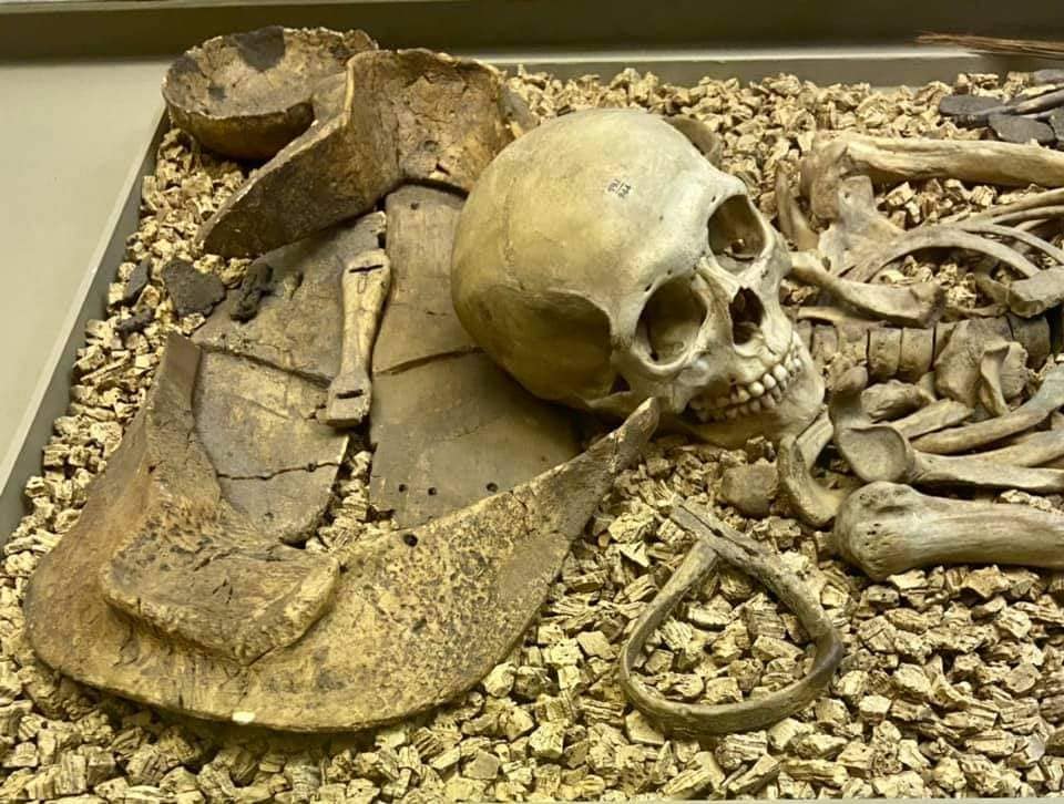 mongol-tsereg-sharil-01