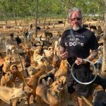 nohoi-awragch-zaluu-05