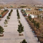 zulegjuuleh-ayan-2021